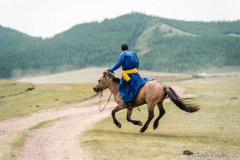 Horse-2